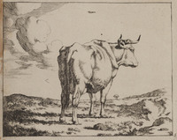 TvB G 0484
<br/>
Staande koe van de achterzijde gezien
<br/>
<em>Bije, Marcus de (1639-ca. 1690)</em>
